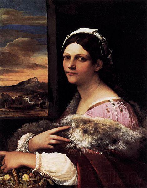 Sebastiano del Piombo A Young Roman Woman Norge oil painting art